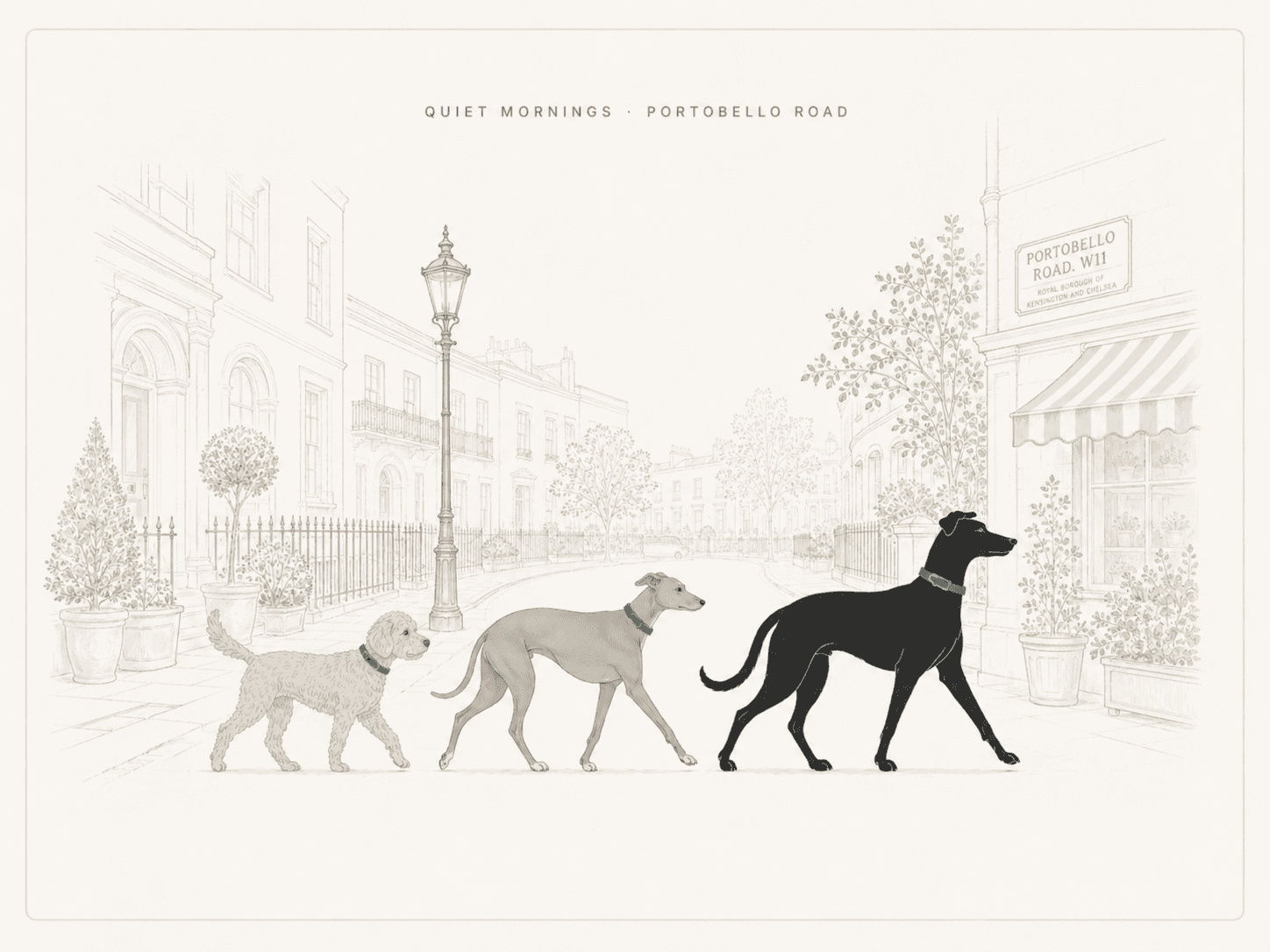 Three dogs walking in a row along Portobello Road, W11, on a quiet Notting Hill morning